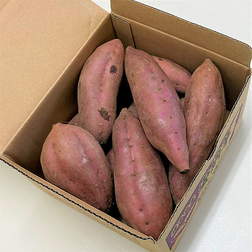 種子島安納いもＢ品　20kg 種子島 安納芋】大きさ色々20kg詰め合わせ□10月中旬頃より順次